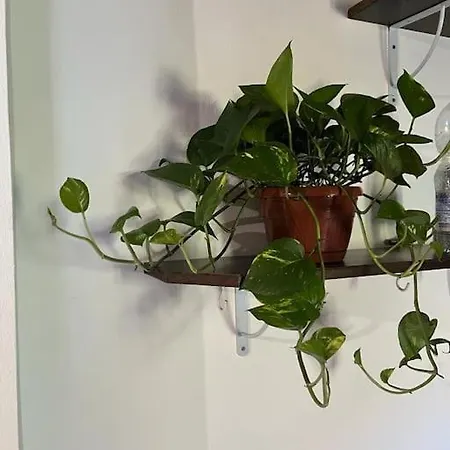 Mare E Monti A 9 Appartement